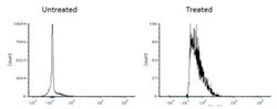 LC3B Antibody (1251A) - BSA Free, Novus Biologicals:Antibodies:Primary